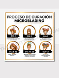 Tarjetas de Cuidados Posteriores Microblading