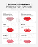 Micropigmentación de Labios | Tarjetas de Cuidado Posterior en ESPAÑOL (Producto Digital)